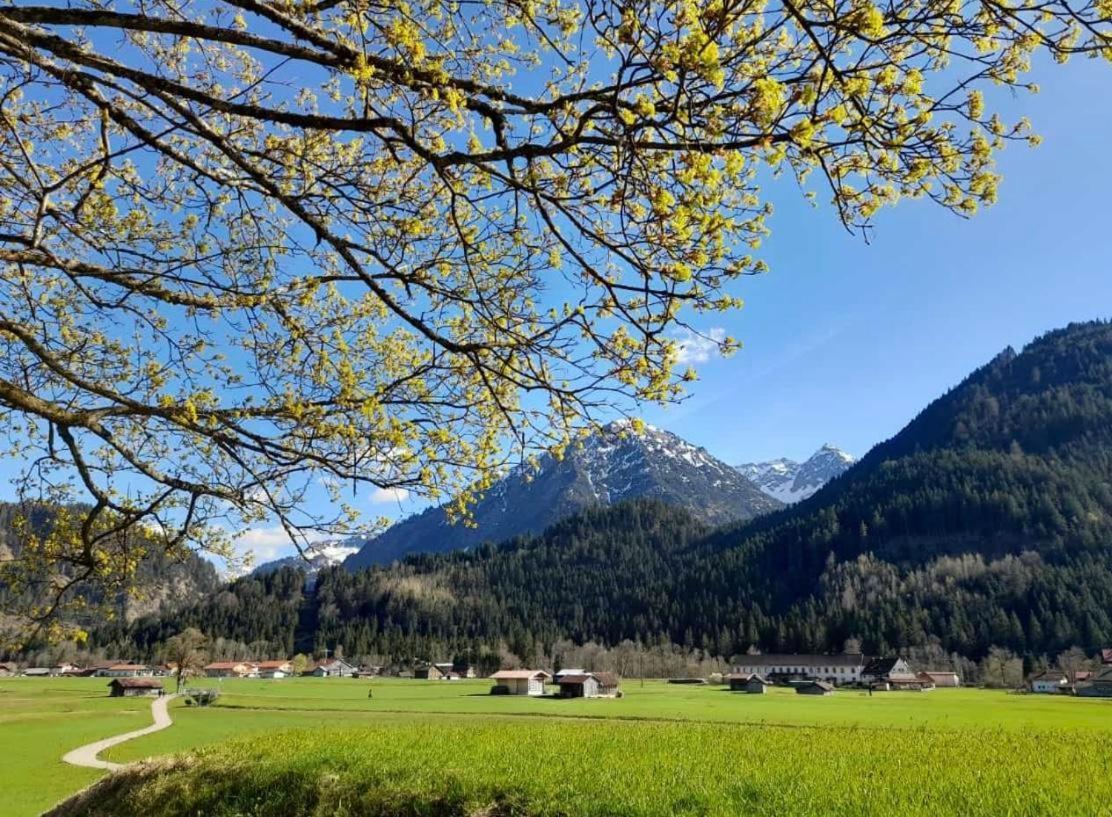 Haus Huber Daire Bad Hindelang Dış mekan fotoğraf